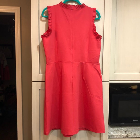Loft Ruffle Trim dress - Picture 2 of 2
